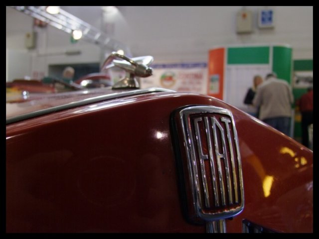 padova2009_362.jpg