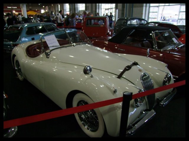 padova2009_742.jpg