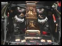 dscf4584_small.jpg